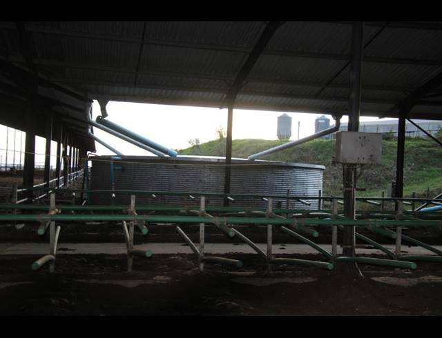 814HA FARM FOR SALE IN RIVERSDALE RURAL